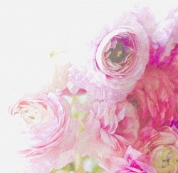 🌸